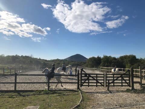 Letterfrack Farmhouse On Equestrian Farm In Letterfrack Beside Connemara National Park Tullywee Bridge المظهر الخارجي الصورة