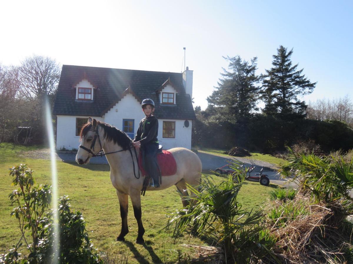 Letterfrack Farmhouse On Equestrian Farm In Letterfrack Beside Connemara National Park Tullywee Bridge المظهر الخارجي الصورة