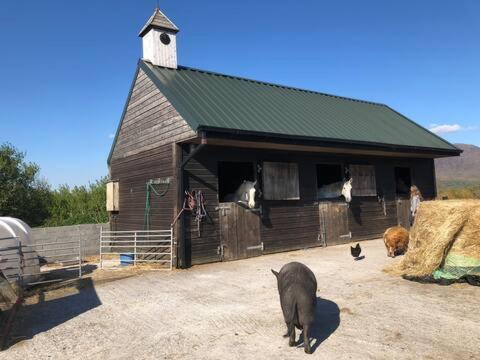 Letterfrack Farmhouse On Equestrian Farm In Letterfrack Beside Connemara National Park Tullywee Bridge المظهر الخارجي الصورة