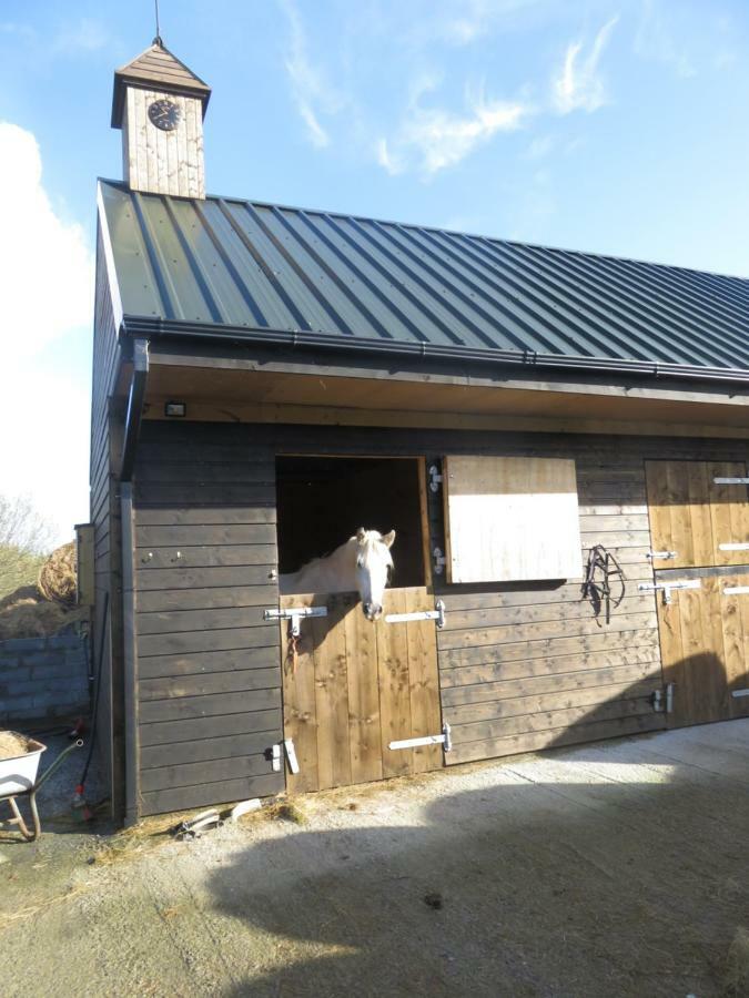 Letterfrack Farmhouse On Equestrian Farm In Letterfrack Beside Connemara National Park Tullywee Bridge المظهر الخارجي الصورة